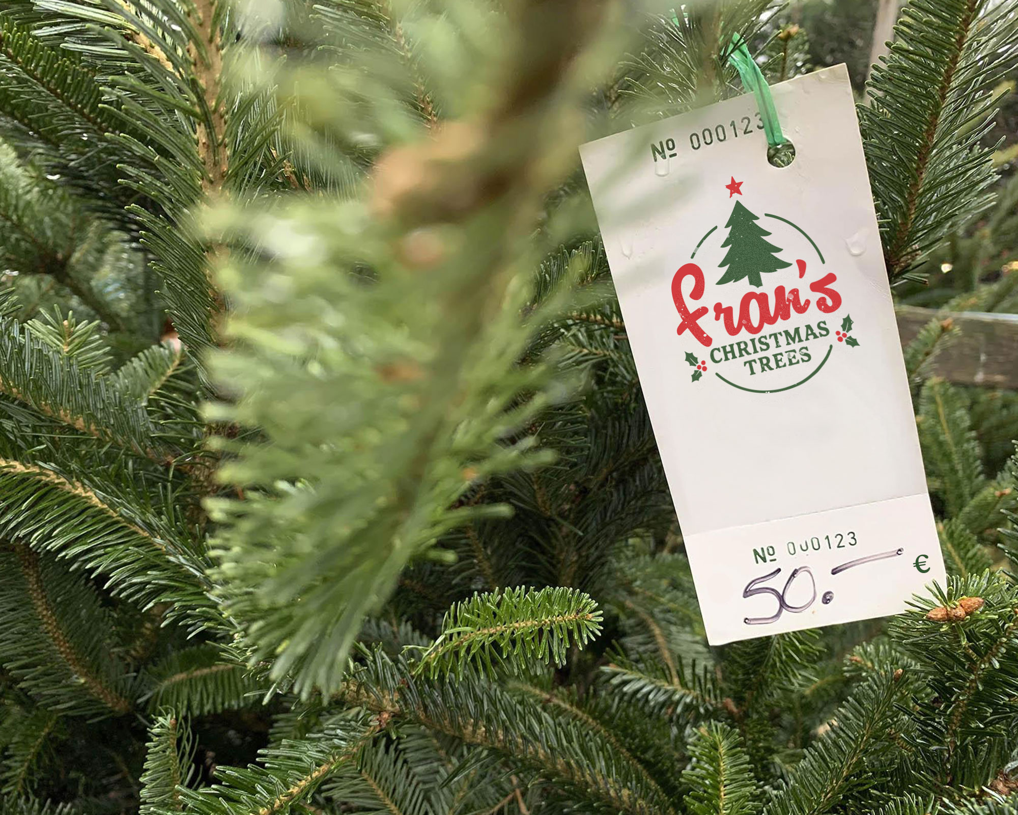 Vente de sapin de Noël chez Fran's Bordeaux